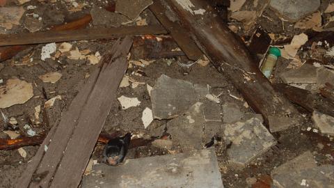 Photo from June 19th, 2012