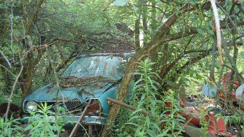 The Cars - DSC_0248.JPG