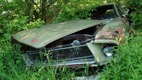 The Cars - DSC_0284.JPG