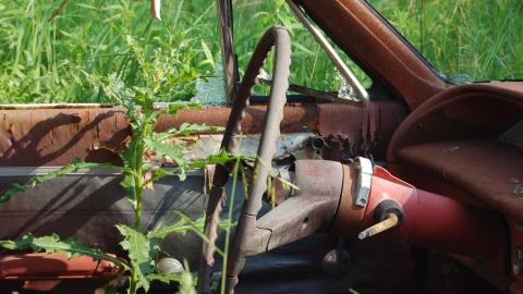 The Cars - DSC_0283.JPG