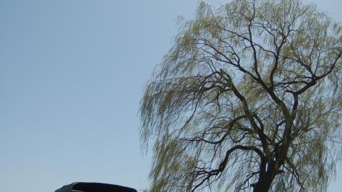 March 2012 - DSC_0028.JPG