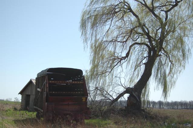 March 2012 - DSC_0029.JPG
