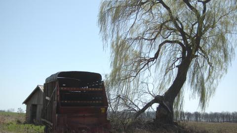 March 2012 - DSC_0029.JPG