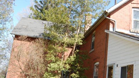 March 2012 - DSC_0032.JPG