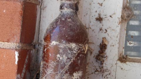 March 2012 - DSC_0040.JPG