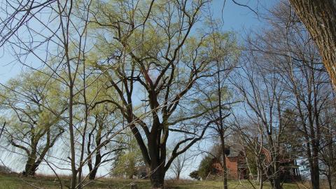 March 2012 - DSC_0042.JPG