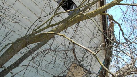 March 22, 2012 - DSC_0004.JPG