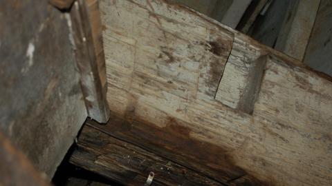 Hidden Abandoned House in Milton photo 4