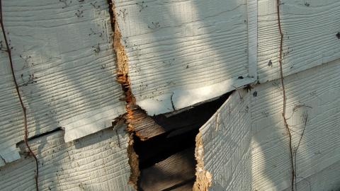 March 22, 2012 - Raccoon Access not RockFreak access.JPG