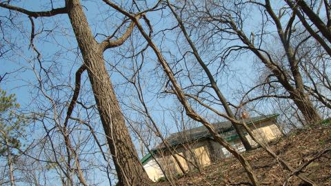 March 22, 2012 - seen you a million times.JPG