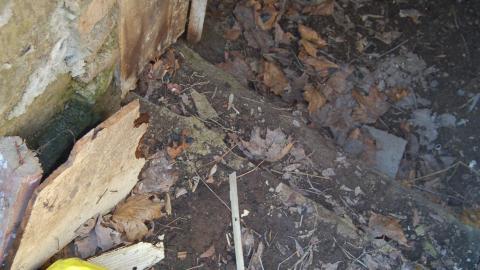 March 22, 2012 - smily face welcomes you.JPG