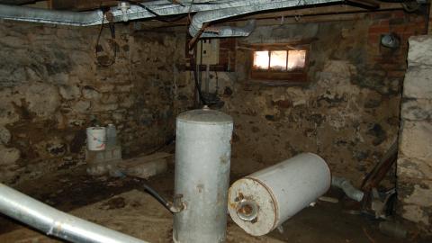 March 22, 2012 - tanked in the cellar.JPG