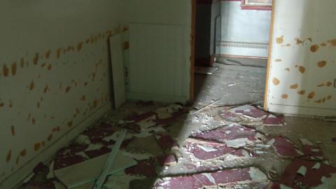 November 14, 2012 - DSC_0146.JPG