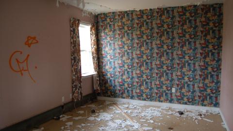 November 14, 2012 - DSC_0161.JPG