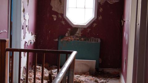 November 14, 2012 - DSC_0178.JPG