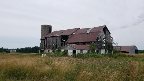 July 2022 - 20220723_124445.jpg