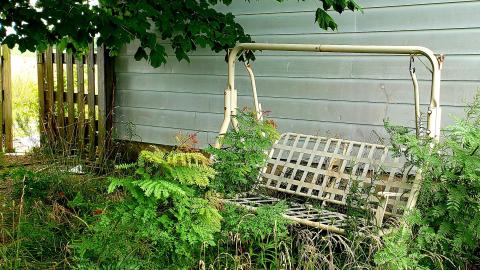 July 2022 - 20220818_134853.jpg