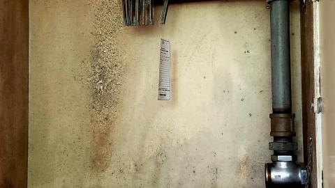 August 2022 - 20220822_011844.jpg