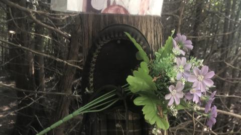 Roadside Curiosity Trap - B6DCAE3E-9E17-4377-94D3-162AF02D5D87.jpeg