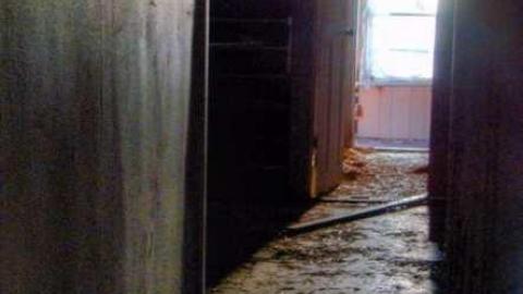 Big Red ??? - 9d.jpg