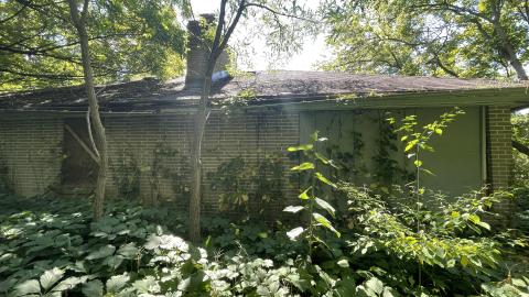 Photo from Aug 18 2022