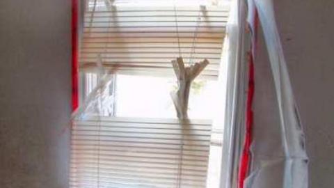 Big Red ??? - dk8.jpg