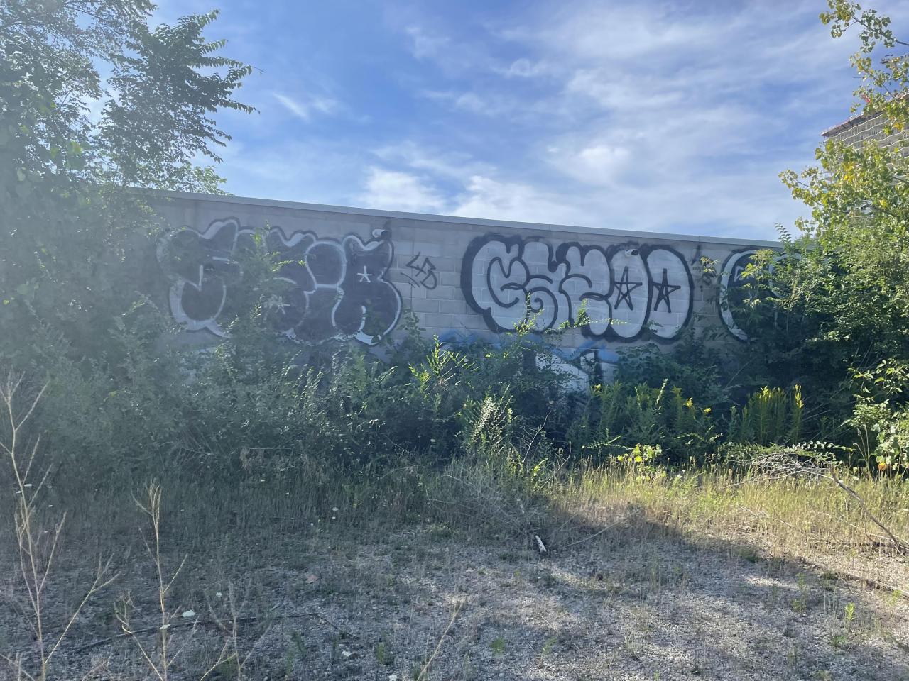 August 2022 - B984160A-D0C8-4F91-91CA-DC49DA5158D9.jpeg