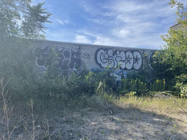 August 2022 - B984160A-D0C8-4F91-91CA-DC49DA5158D9.jpeg