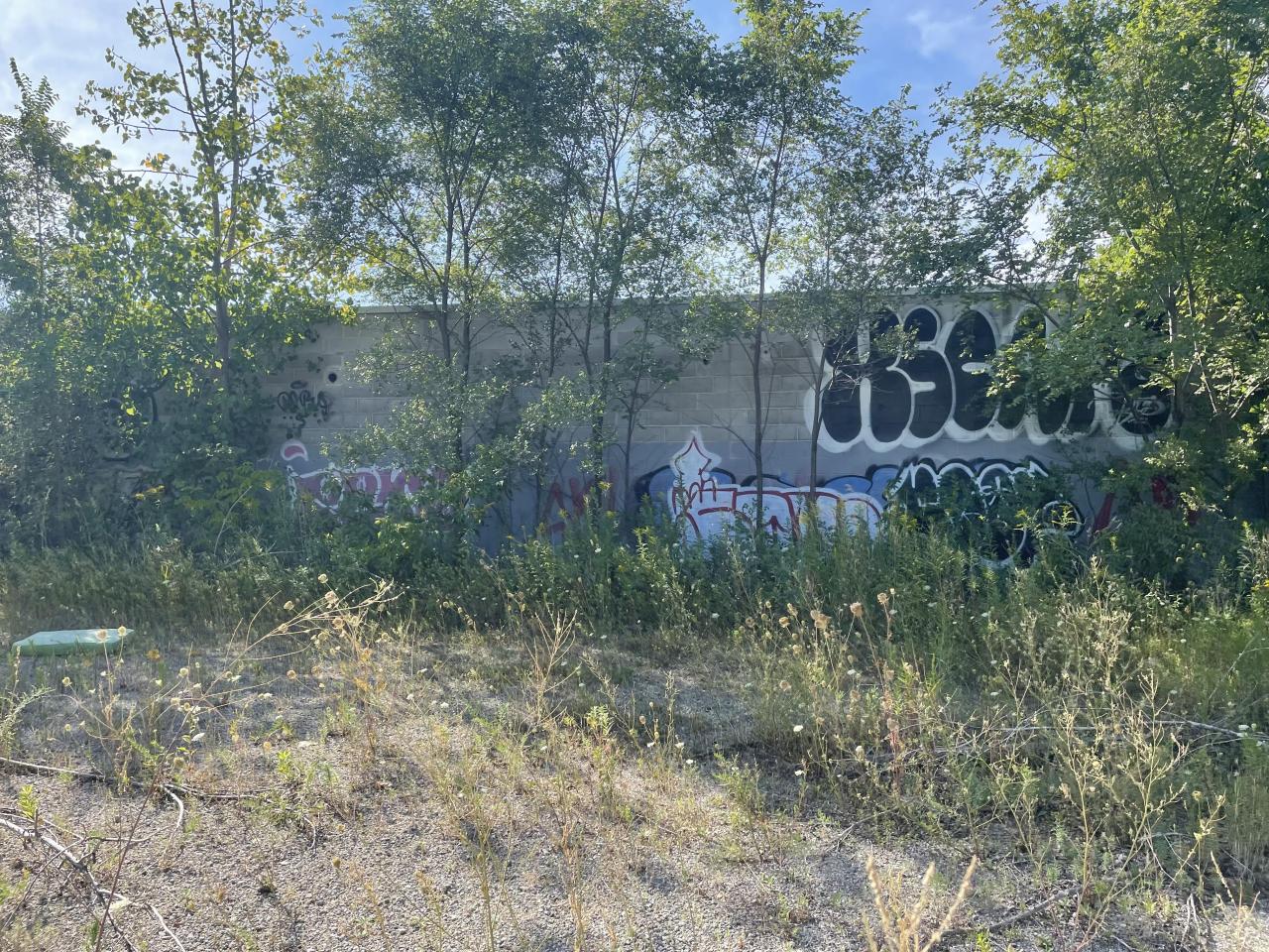 August 2022 - EE620C5C-0DF1-4179-B690-6632931FA7D9.jpeg