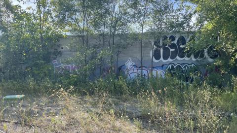 August 2022 - EE620C5C-0DF1-4179-B690-6632931FA7D9.jpeg