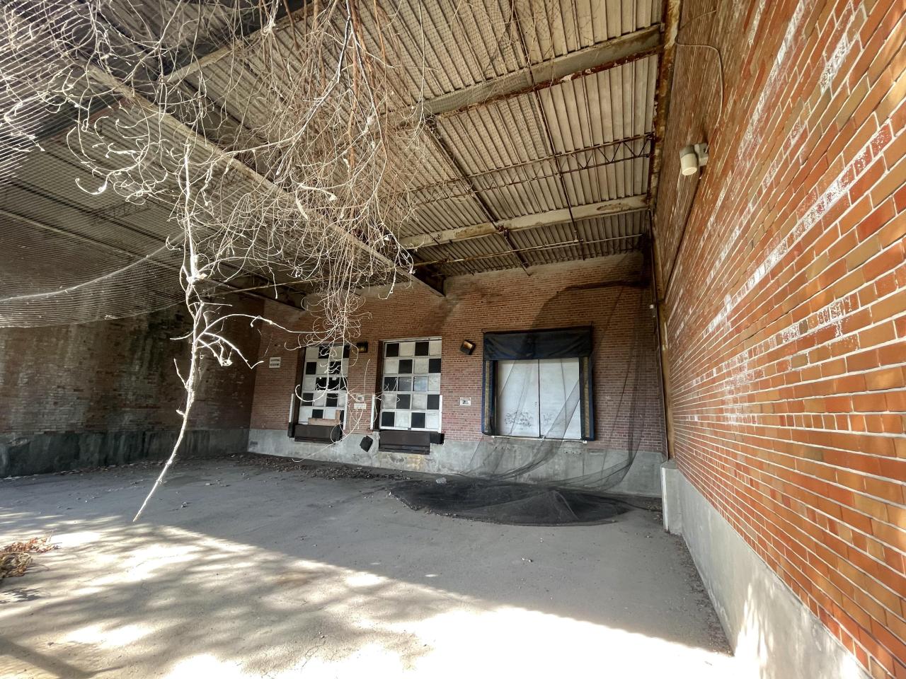 August 2022 - F4C5ADA7-E984-413E-97F8-69342AABF22E.jpeg