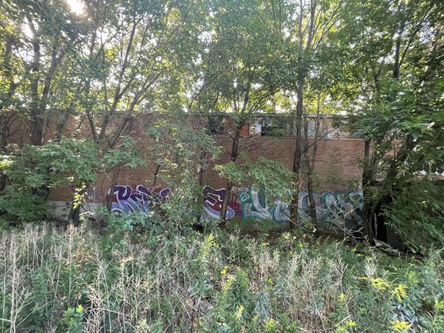 August 2022 - 334D2AEA-602D-4CF1-B4E9-3A2F803A60AE.jpeg