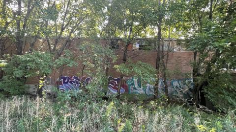 August 2022 - 334D2AEA-602D-4CF1-B4E9-3A2F803A60AE.jpeg