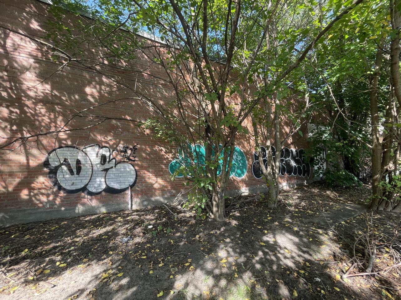 August 2022 - 81FB92BC-EF89-4EED-851A-9763EF36A5AC.jpeg