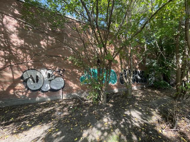 August 2022 - 81FB92BC-EF89-4EED-851A-9763EF36A5AC.jpeg