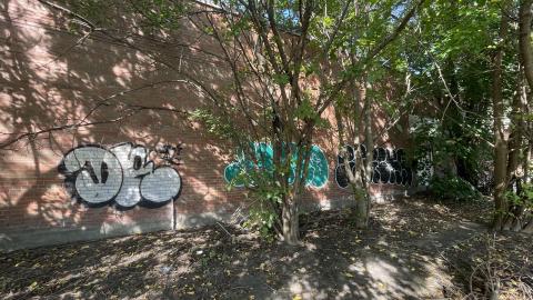 August 2022 - 81FB92BC-EF89-4EED-851A-9763EF36A5AC.jpeg