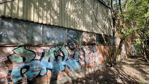 August 2022 - D817883F-B542-4E6E-BD06-C575F1CED6A9.jpeg