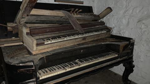 Luck Of The Irish August 2022 - IMG_5675.JPG