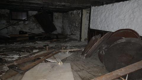 Photo from Luck Of The Irish August 2022