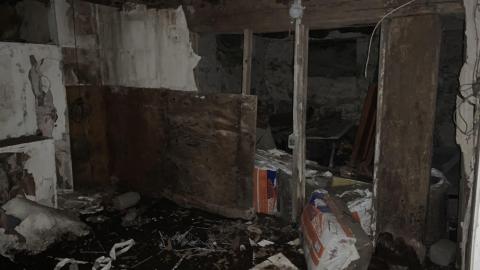 Photo from Luck Of The Irish August 2022