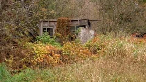 We All Love Coopers Falls - Coopers-Falls-Ghost-Town74.jpg