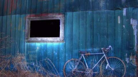 Country Charm 1 - North-Oakville-farm102.jpg