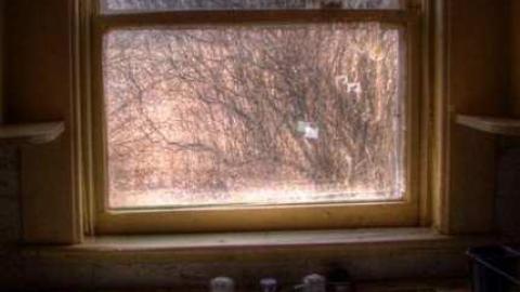 Country Charm 1 - North-Oakville-farm103.jpg