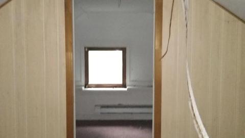 Watch Out for the Dog with COVID - The Log Cabin (2).jpg