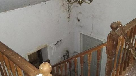 Watch Out for the Dog with COVID - The Log Cabin (3).jpg