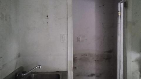 Watch Out for the Dog with COVID - The Log Cabin (5).jpg