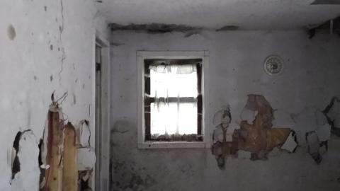 Watch Out for the Dog with COVID - The Log Cabin (4).jpg