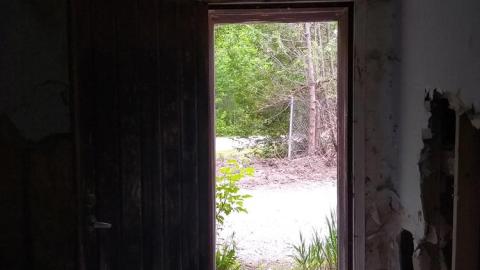 Watch Out for the Dog with COVID - The Log Cabin (6).jpg