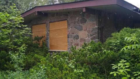 Under the Blacklight - Under the Blacklight (16).jpg