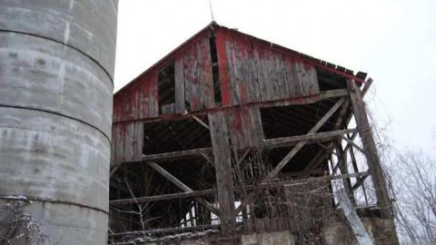 Fresh Snow - DSC_8478.jpg